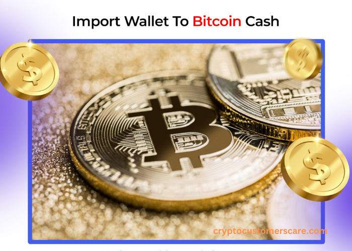 Import Wallet to Bitcoin Cash