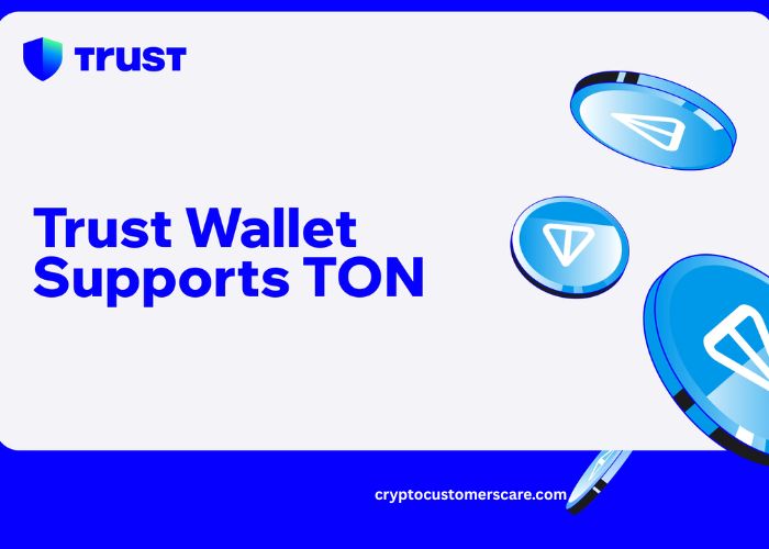How Can I Contact Trust Wallet Support